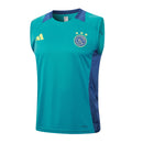 Conjunto Ajax Treino Regata 24/25 - Azul