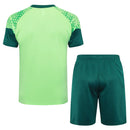 Conjunto Palmeiras Treino 24/25 - Verde