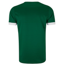 Camisa Palmeiras I 25/26 Torcedor Puma - Verde